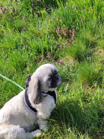 Was kommt als nächstes?