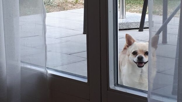 Hallo, hier bin ich!