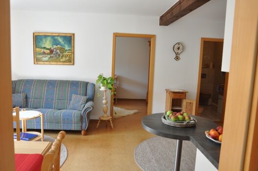 Schmökern und Fernsehen auf dem Sofa