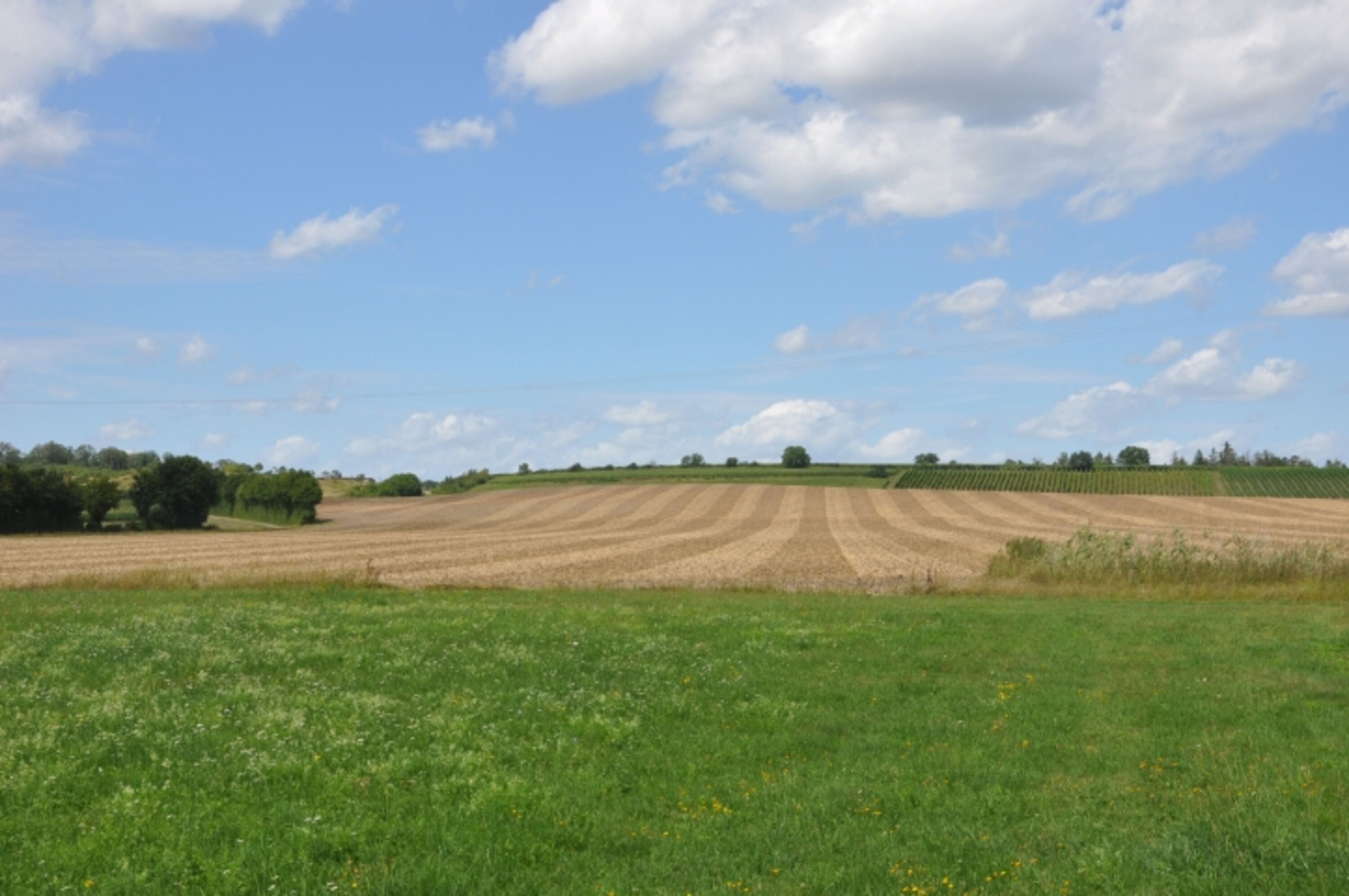 Erholung und Ruhe pur