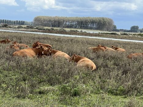 Ein Spaziergang durch die Waterdunen ist unvergesslich!