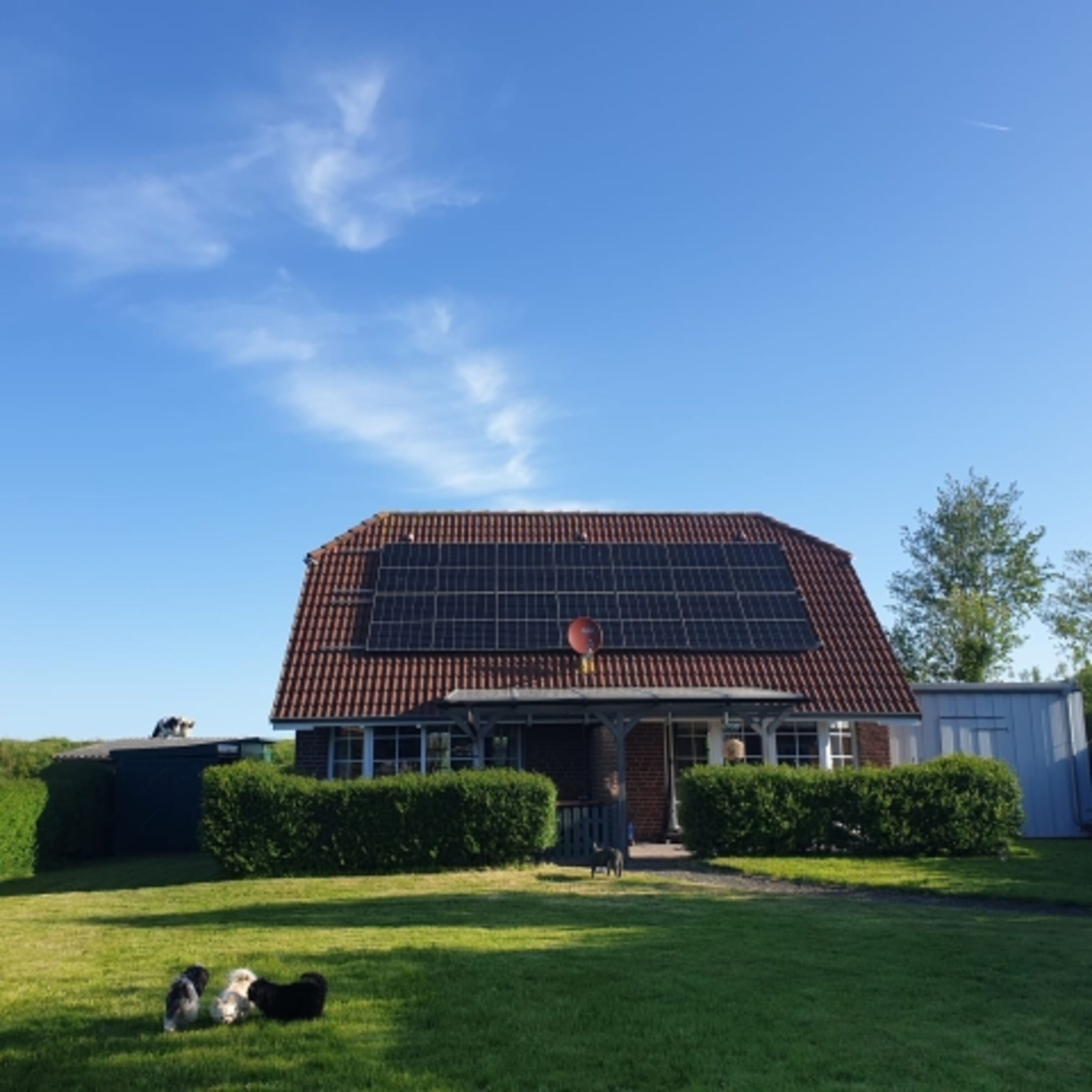 Garten