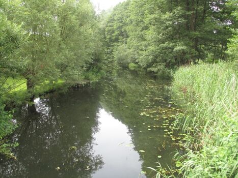 Spreeblick und Bademöglichkeit für den Hund
