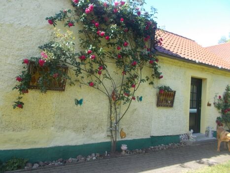 Eingang Naturheilpraxis Latarius