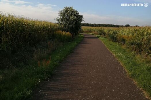 Wander - und Radweg nach Flecken Zechlin