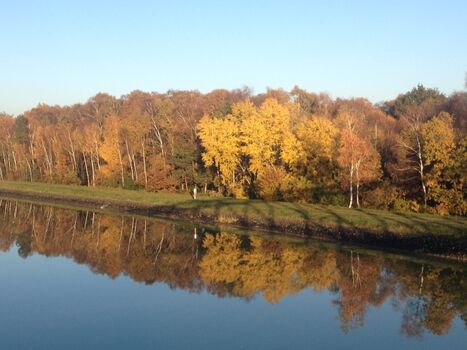 Taumhafter Herbst - zum Wandern und Pilze sammeln 