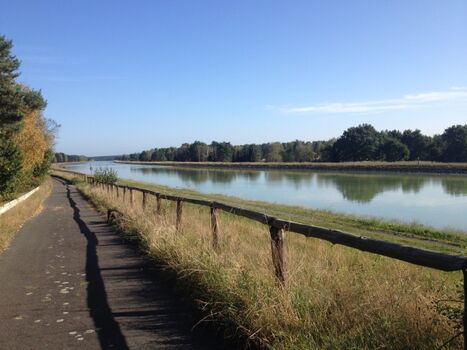 Direkt nebenan: Elbe-Seitenkanal