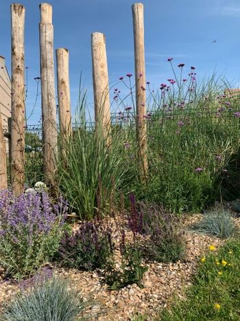 liebevoll bepflanzter Garten