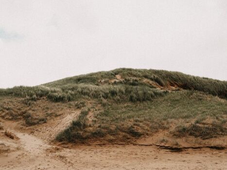 wunderbare Dünenlandschaft