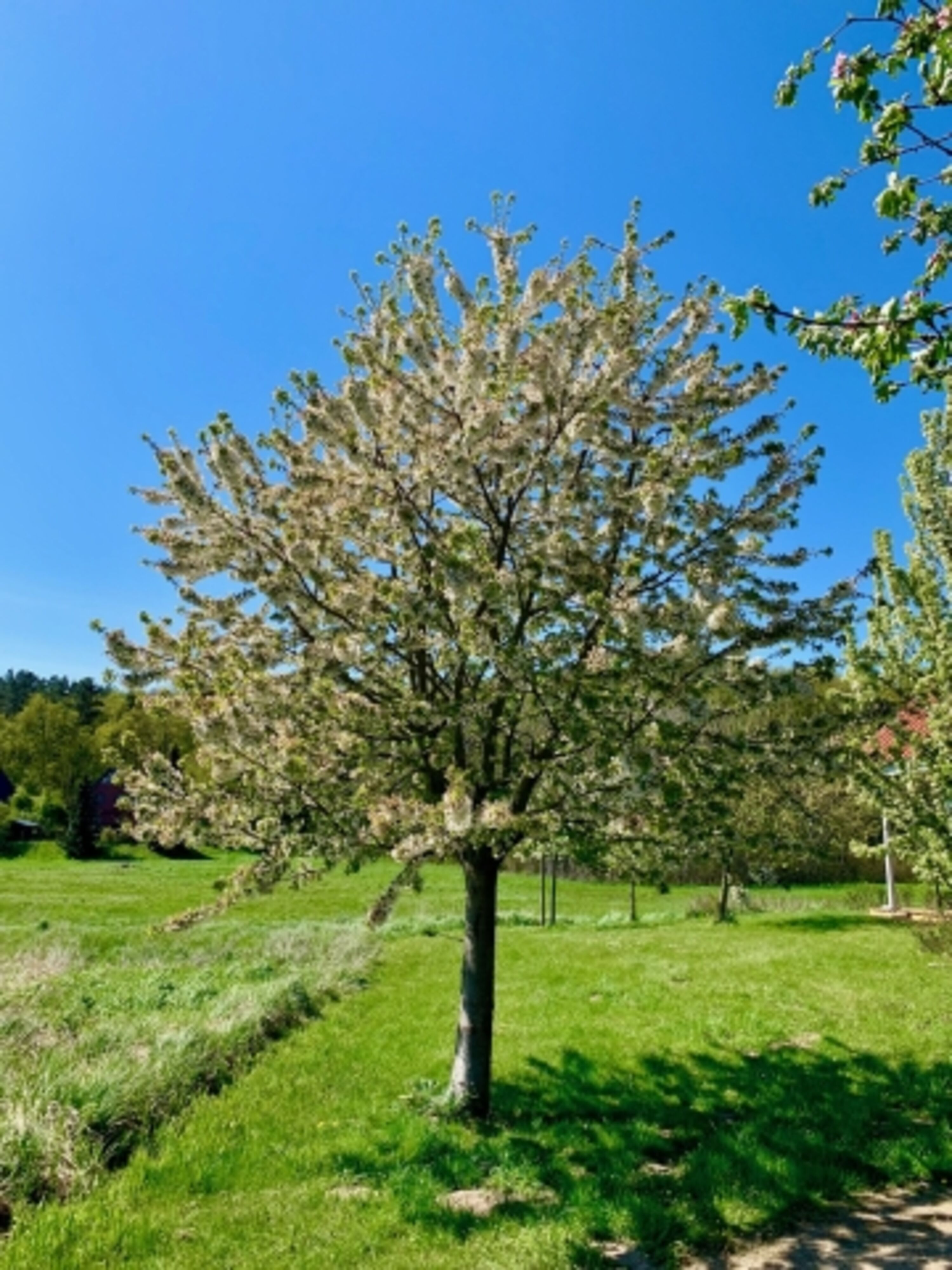 Bild 14