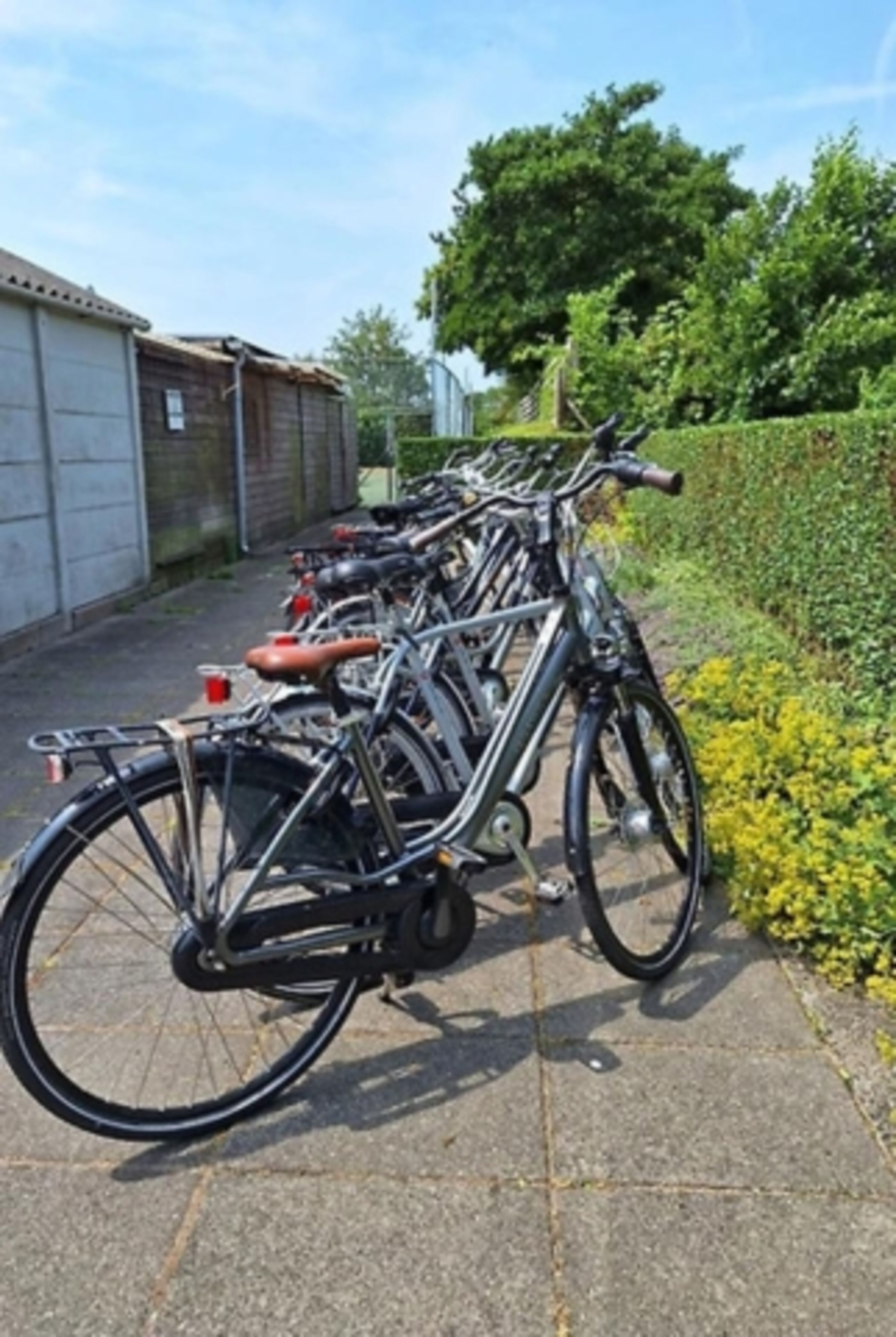 Bild 16
