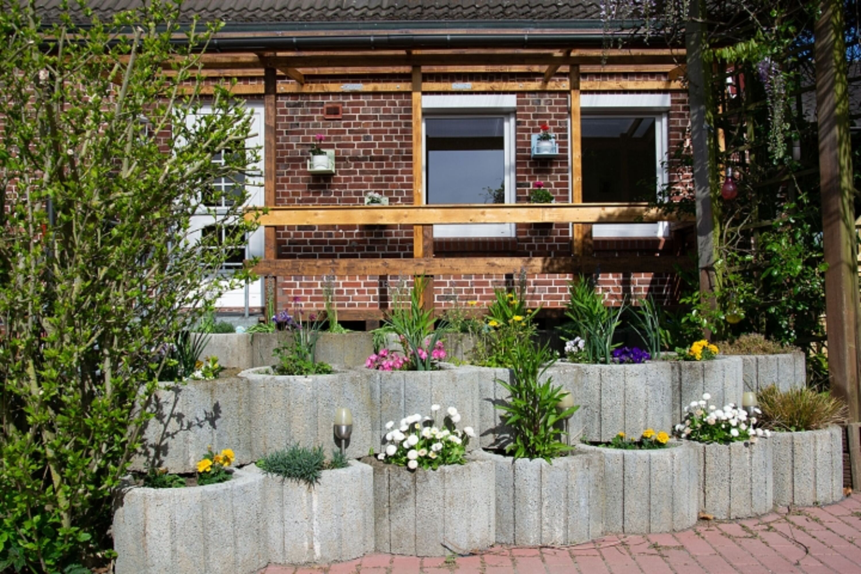 Bild 1