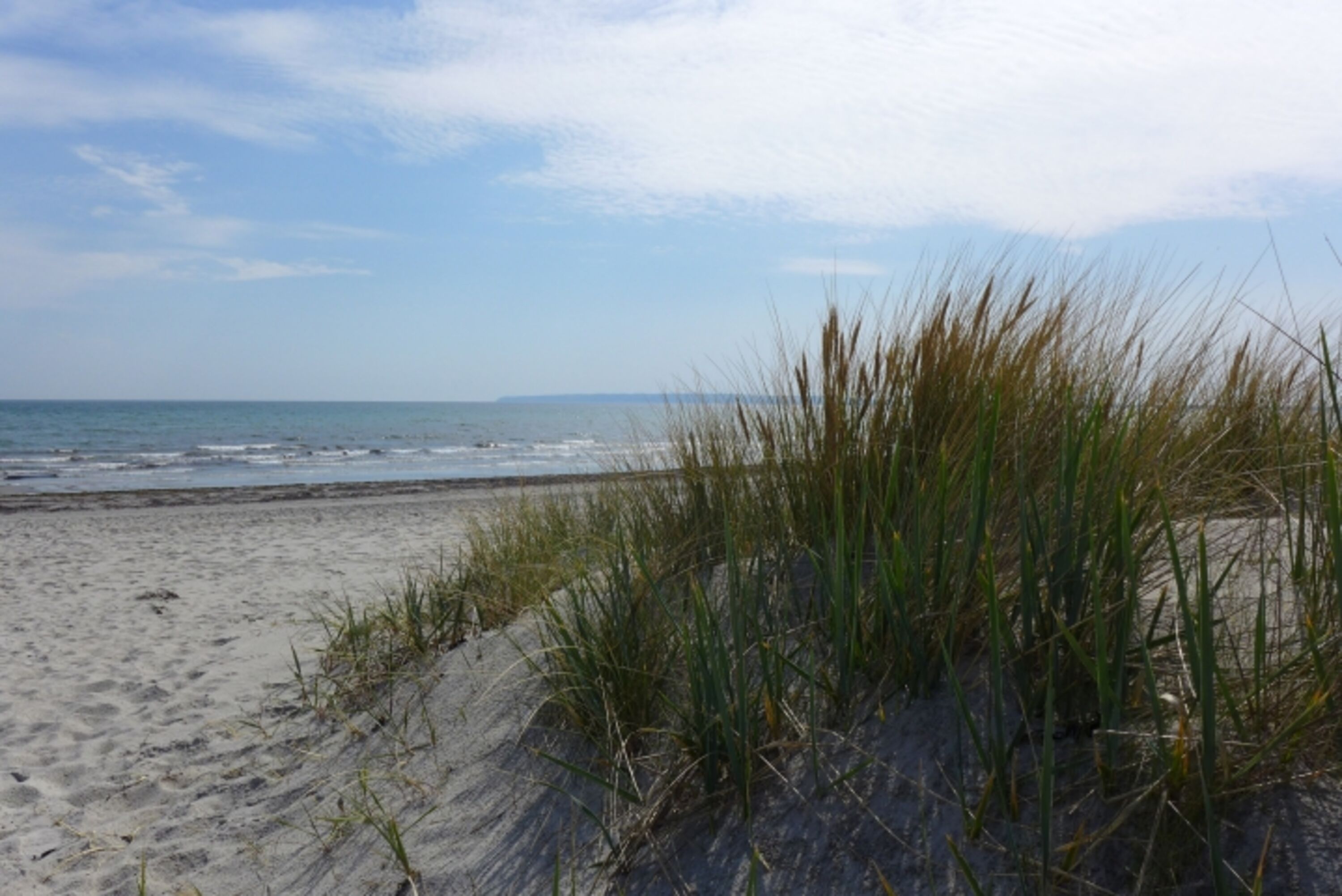 Düne und Strand