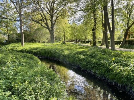 Dahmer Au neben dem Ferienhaus