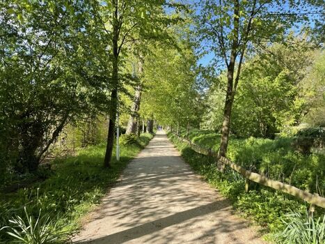 Fußweg Paasch-Eyler-Allee ins Zentrum und zum Strand
