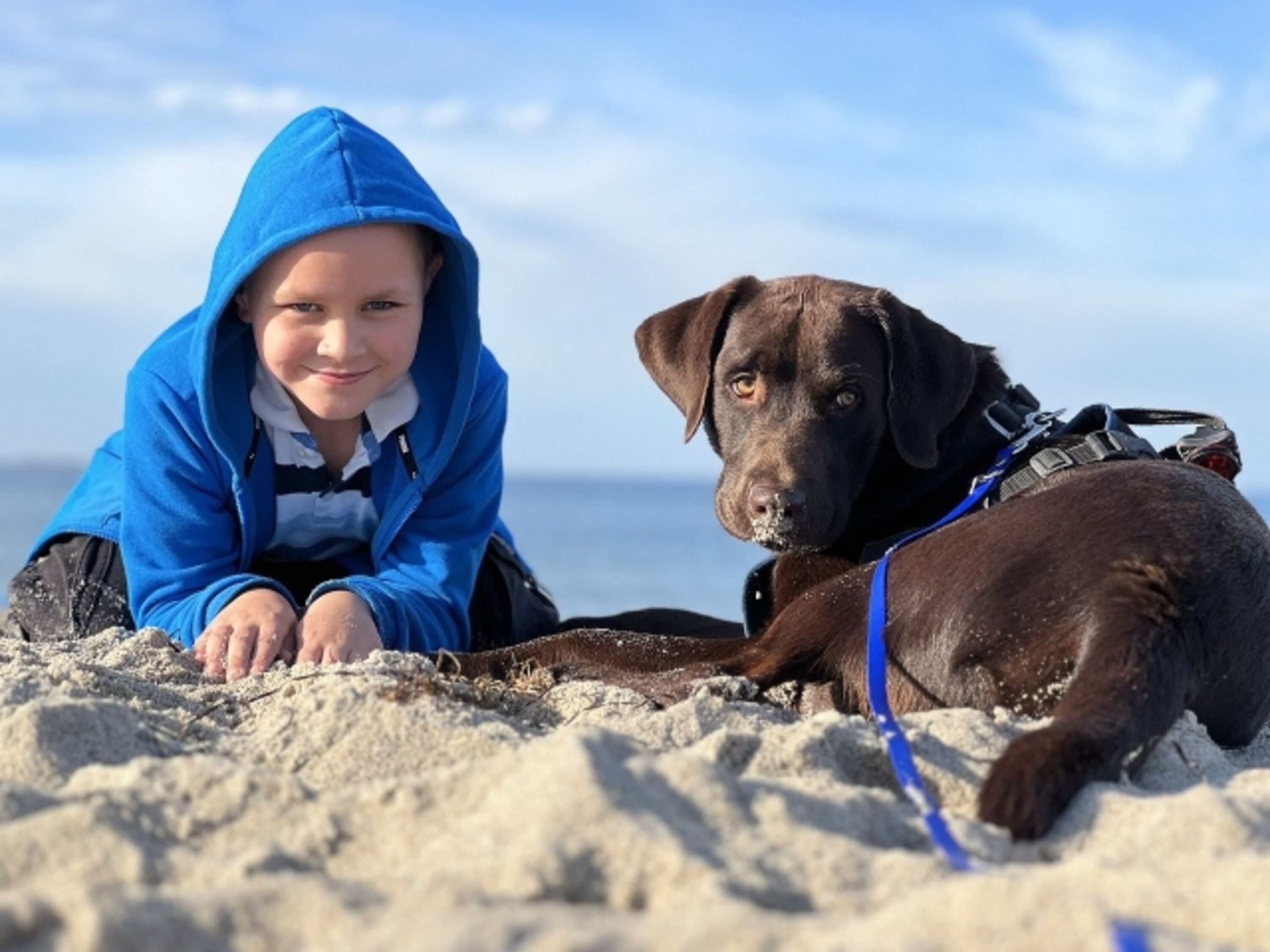 Idealer Sandstrand für Kinder und Hunde