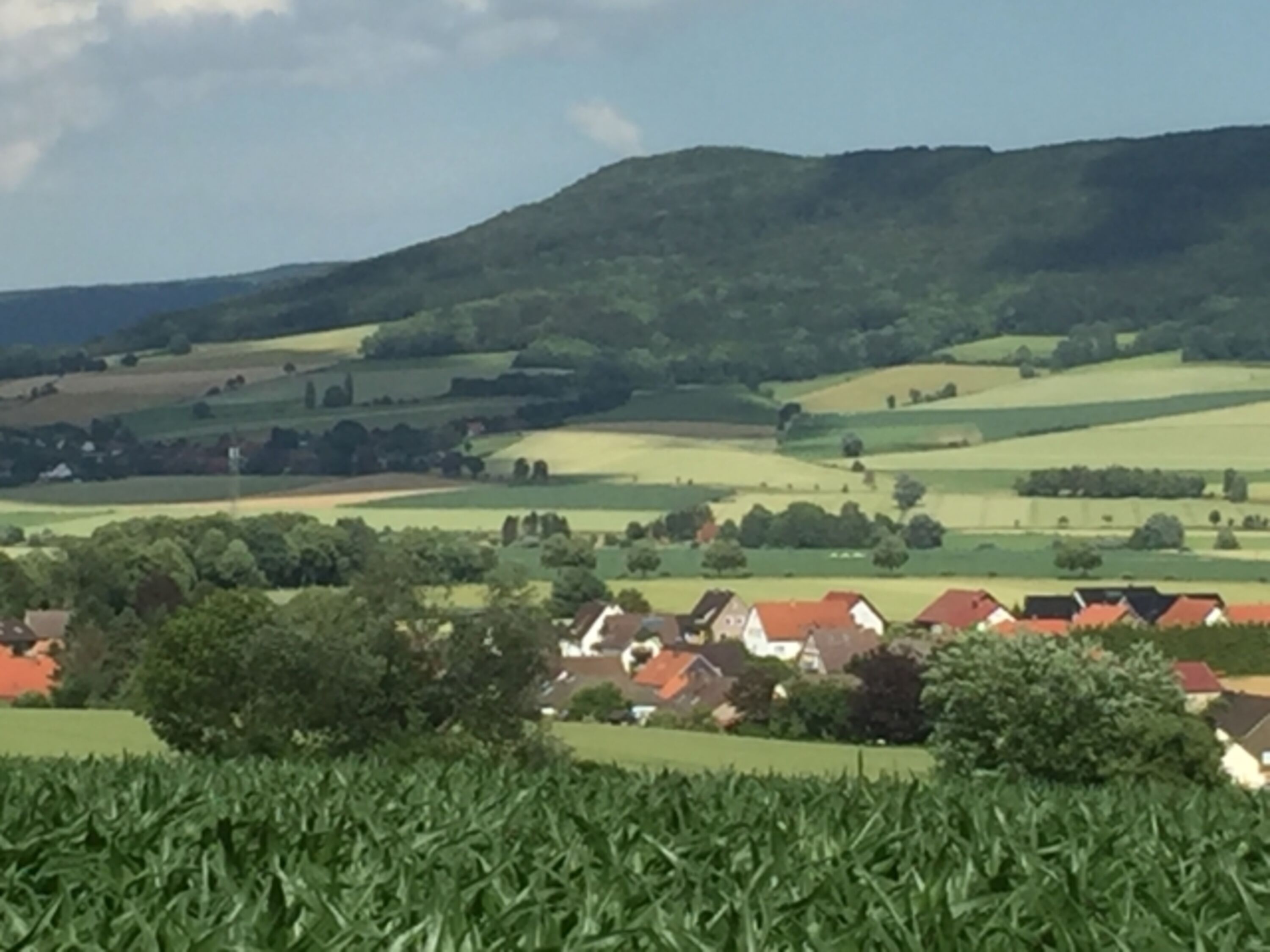 Bild 18