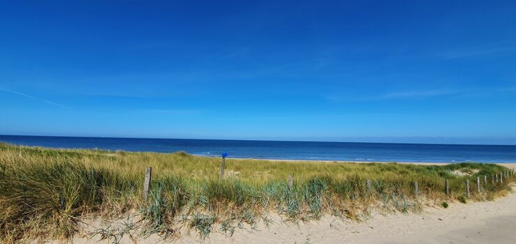 Düne und Strand von Callantsoog