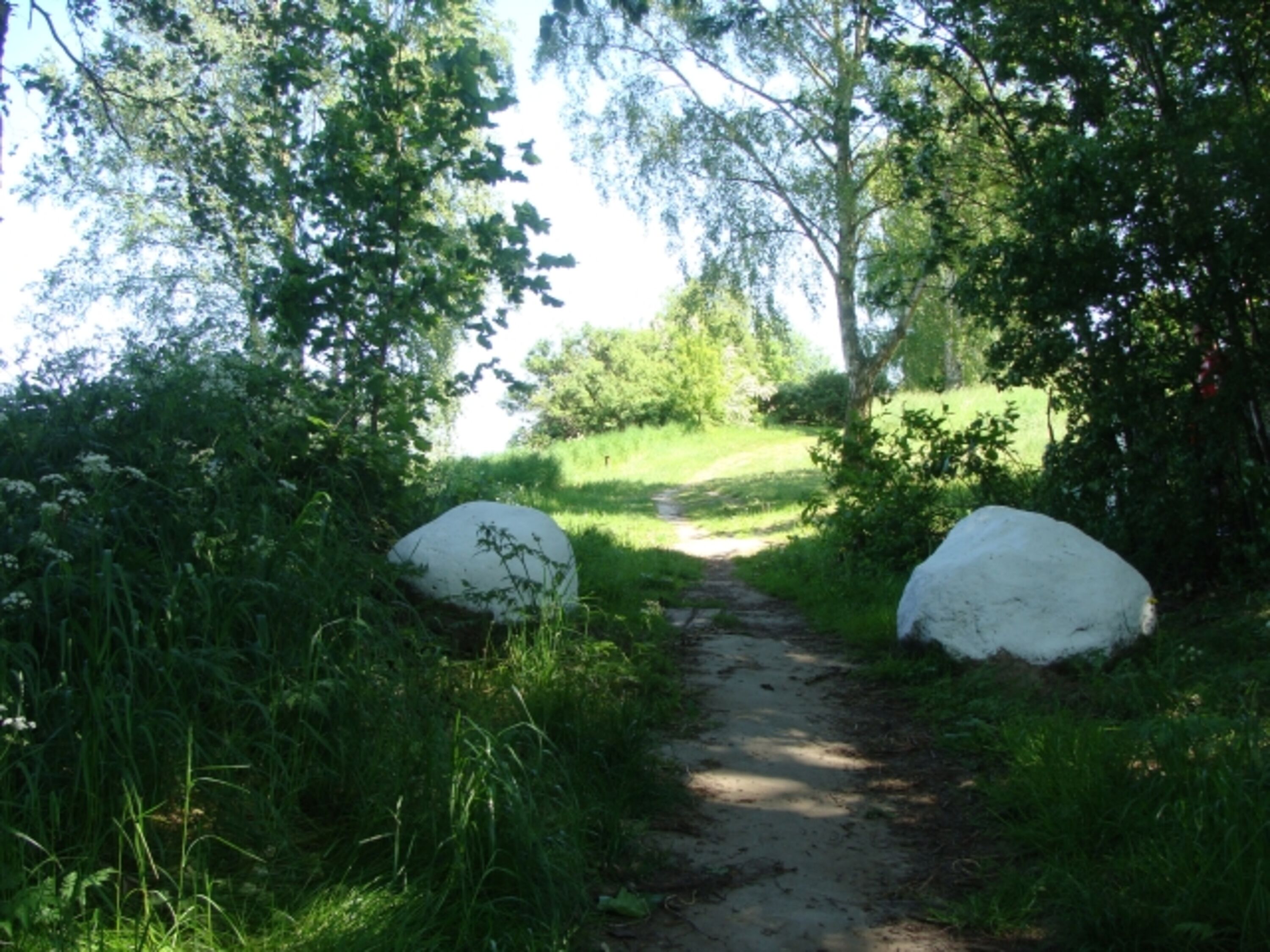 Bild 12