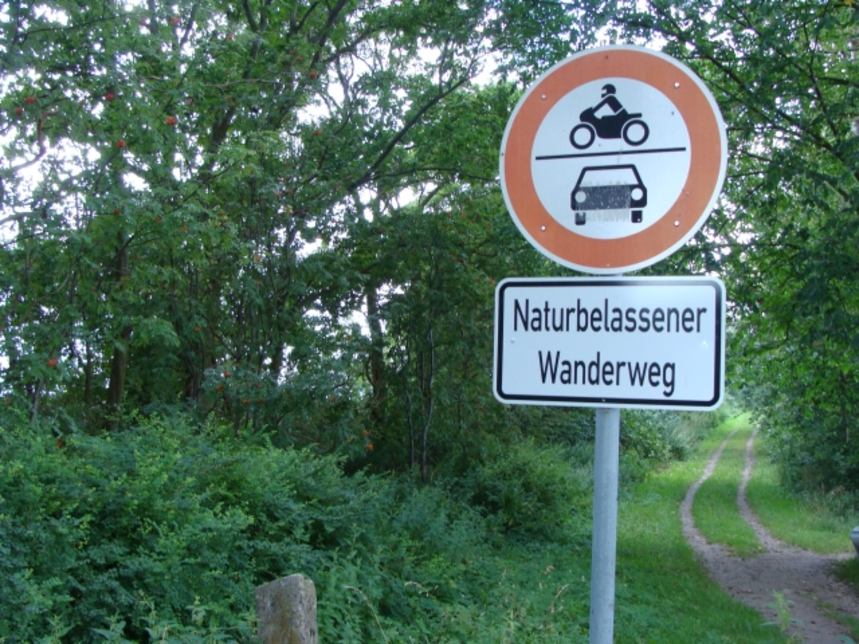 Bild 15