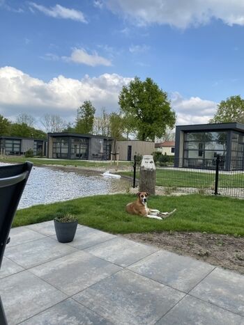 Blick von der Terrasse 