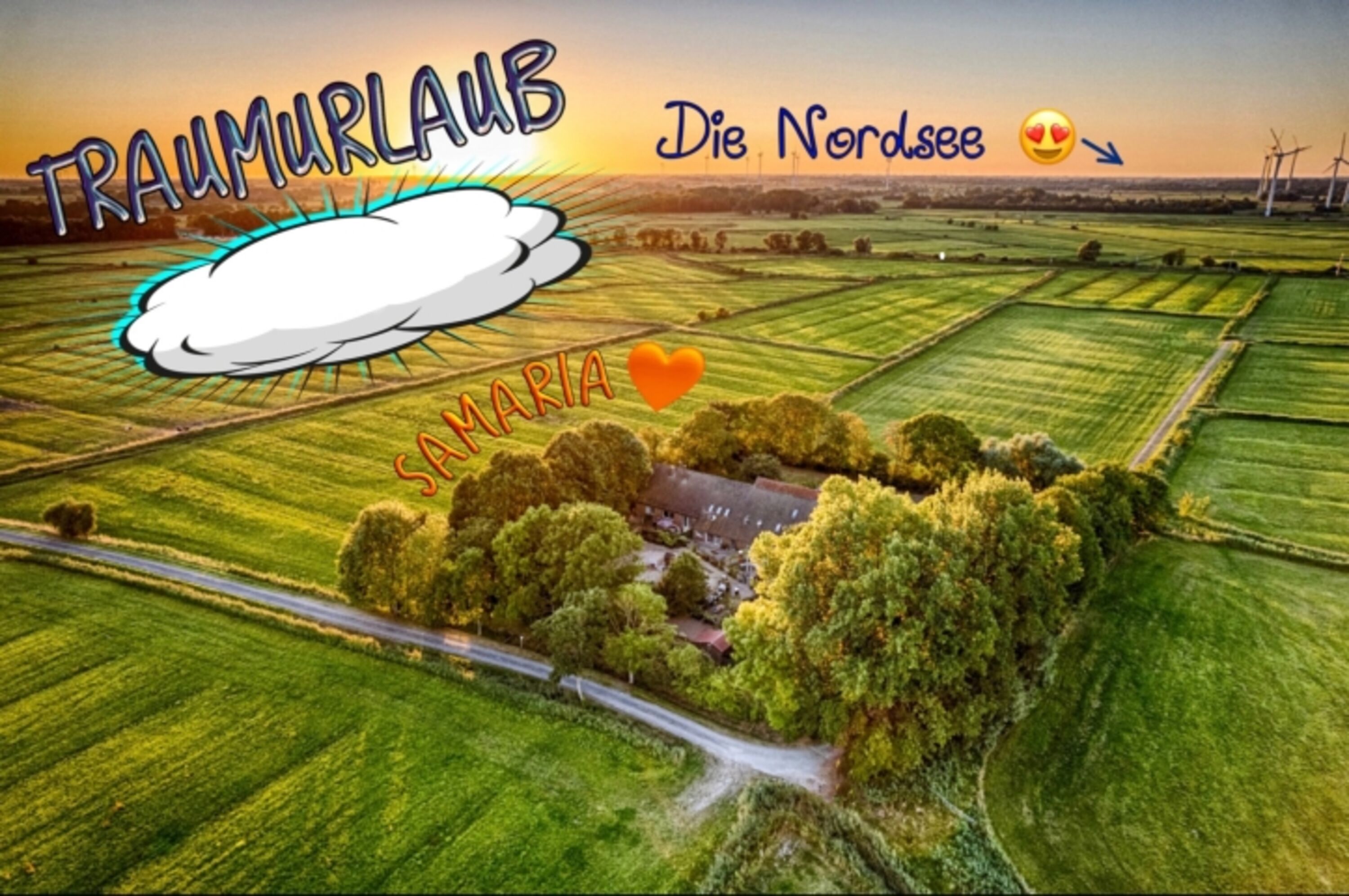 Bild 19