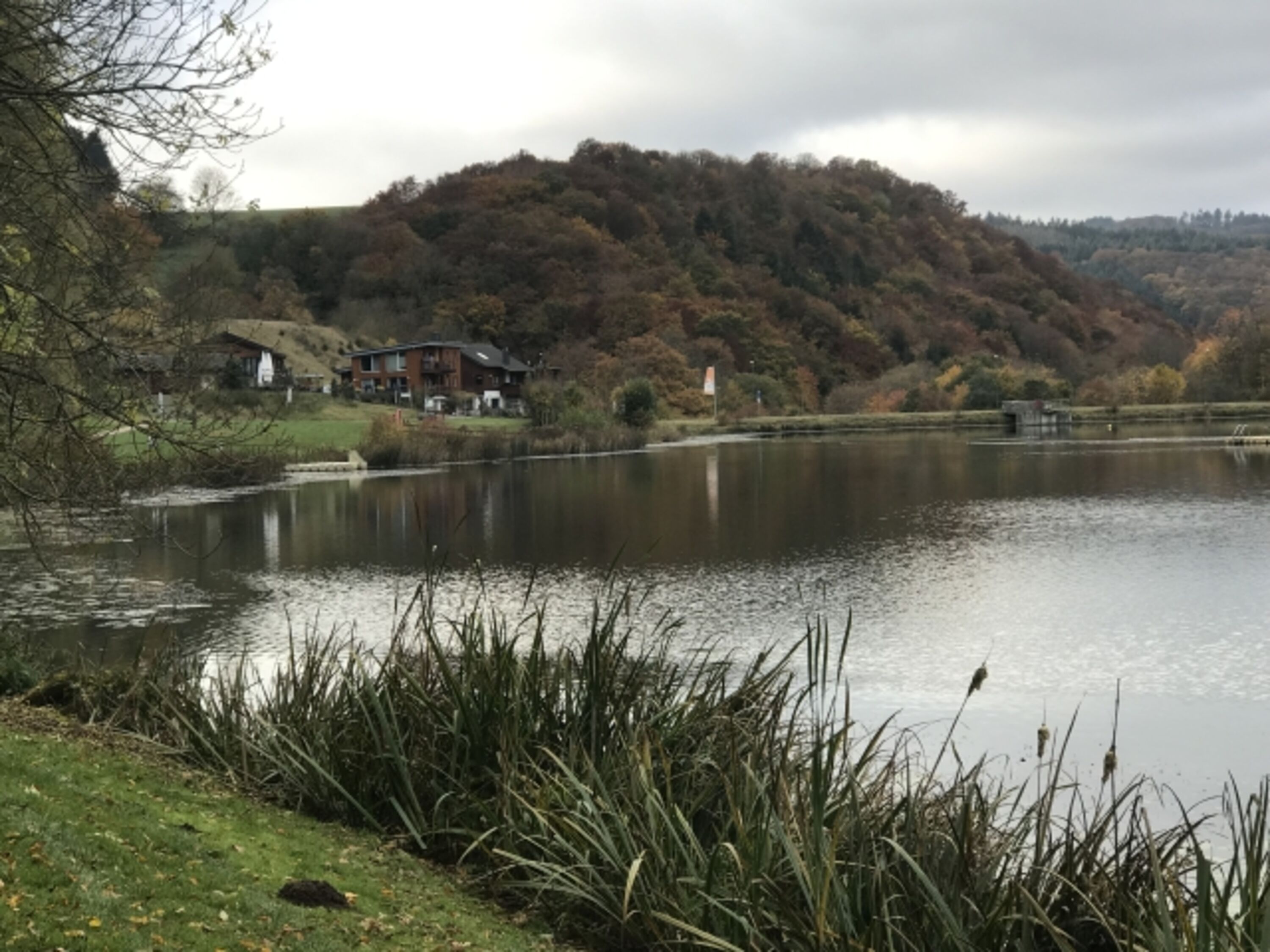 Der See