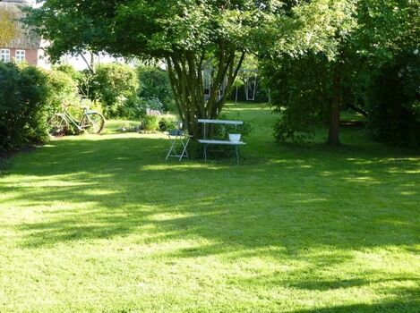 Blick in den Garten
