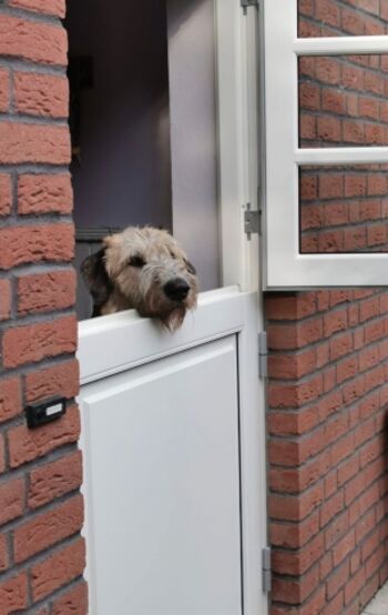 Die Klönschnack Tür