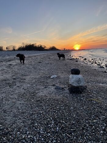 Abendstimmung in Hohenfelde