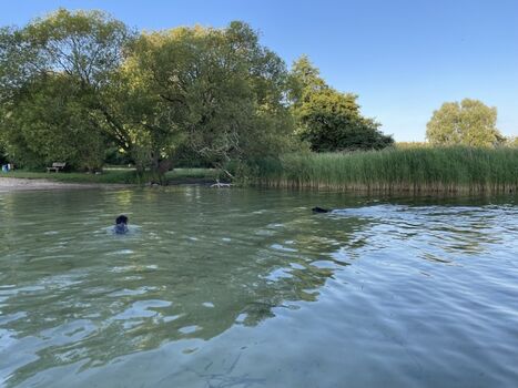Selenter See, Badestelle Pülsen nur 2 km von der Ferienwohnung entfernt