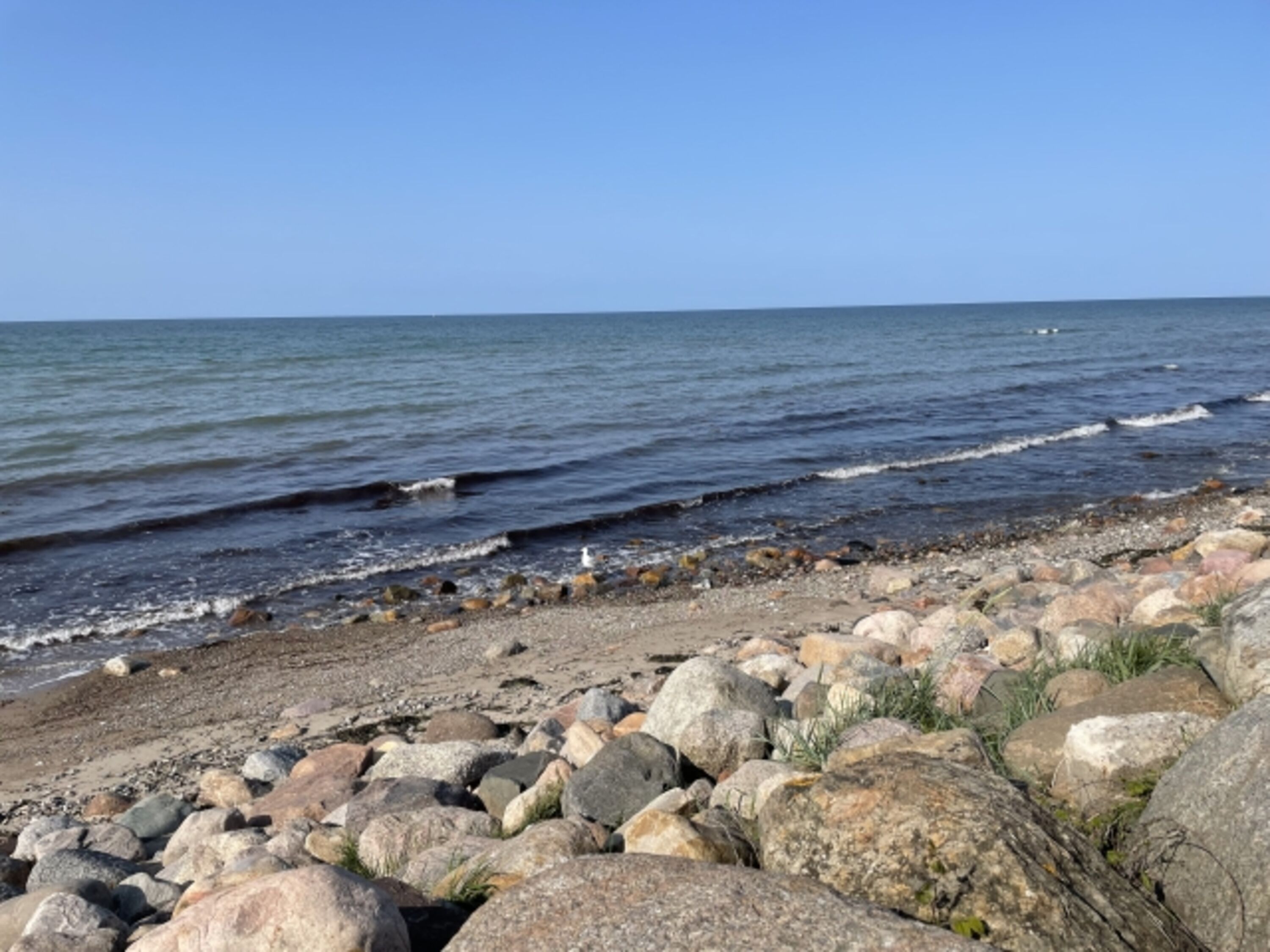 Naturstrand Hohenfelde