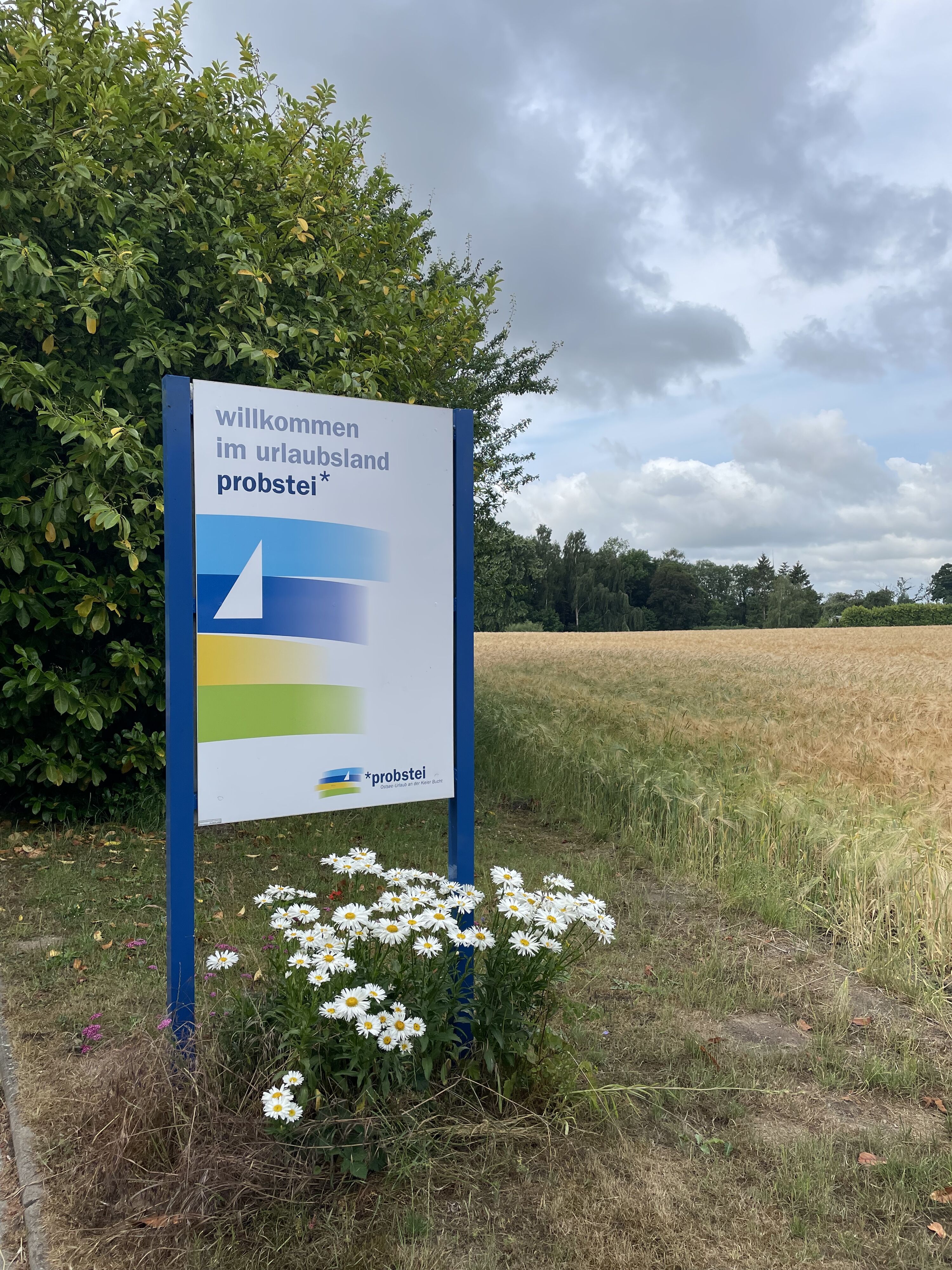 Köhn liegt in der schönen Probstei