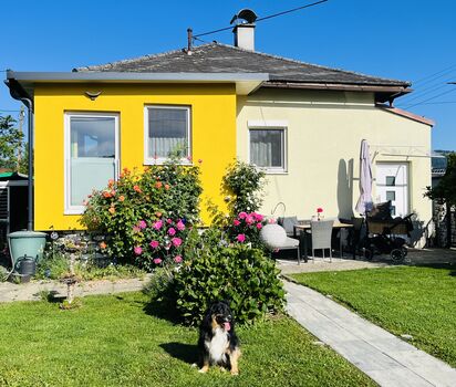 Hundefreundliches Ferienhaus m. eingezäuntem Garten in der  ...