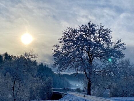 Winterwunderland Wippelsach