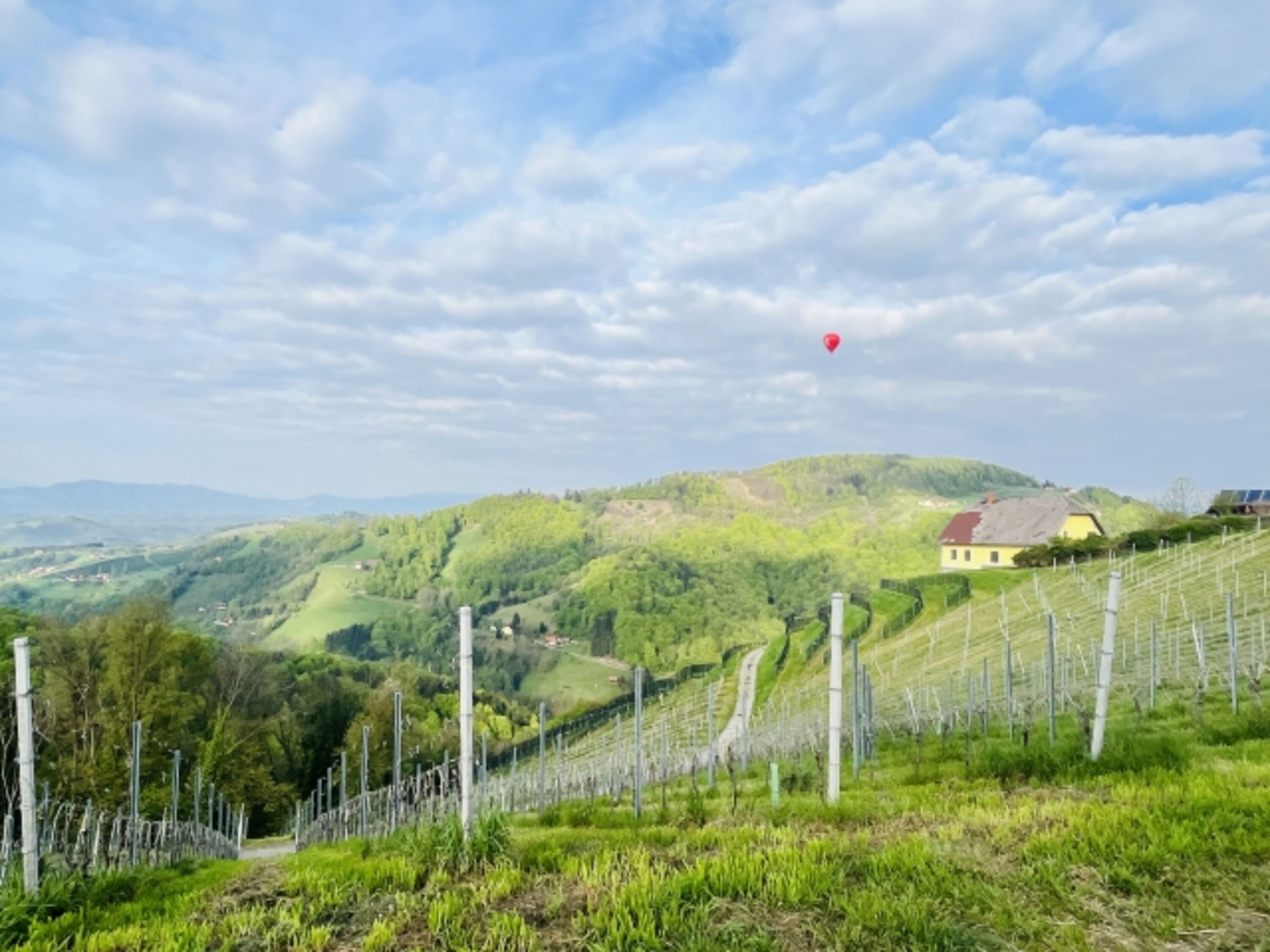 Weinberg in Kitzeck mit Heißluftballon