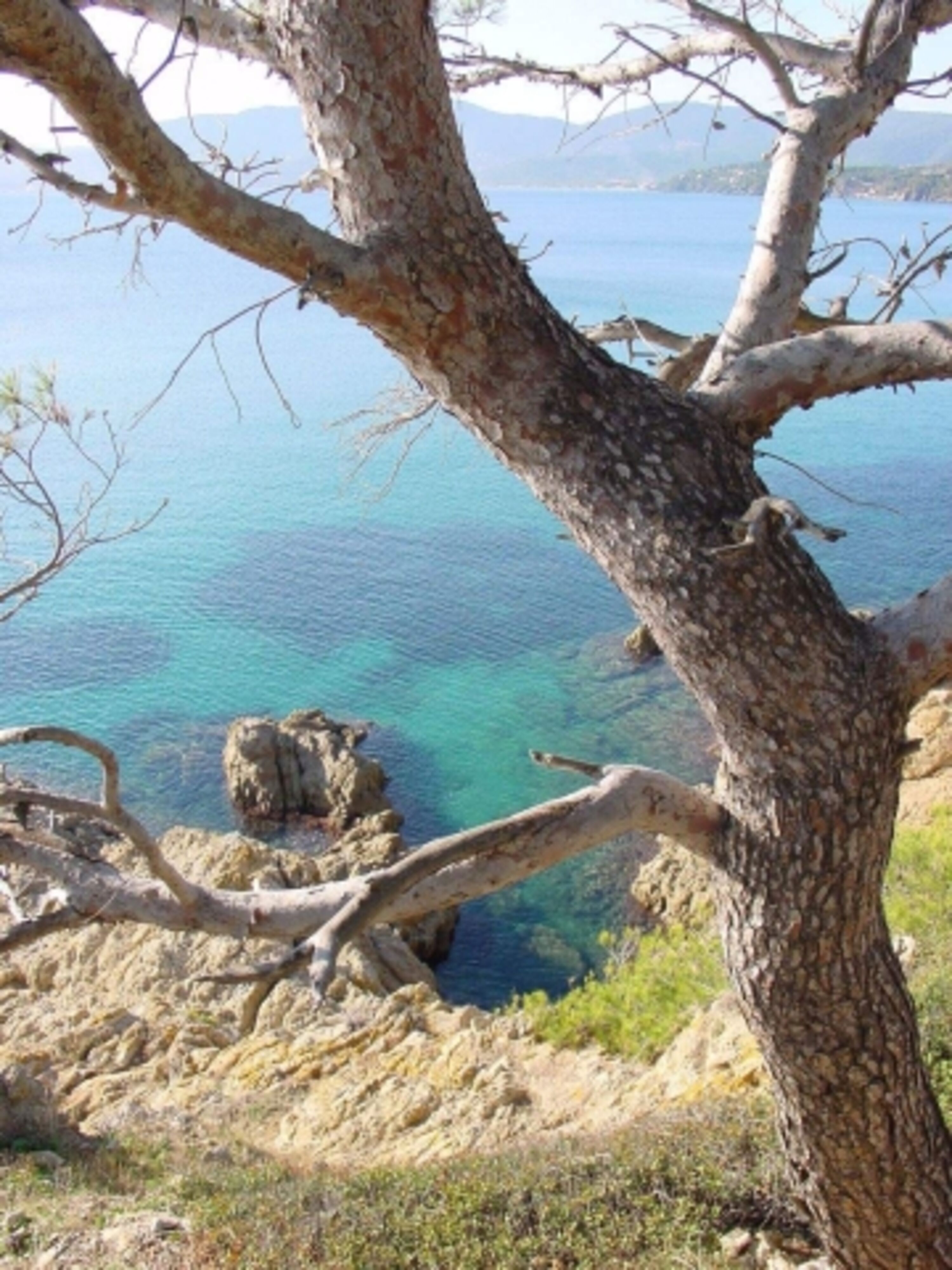 Halbinsel von St.-Tropez