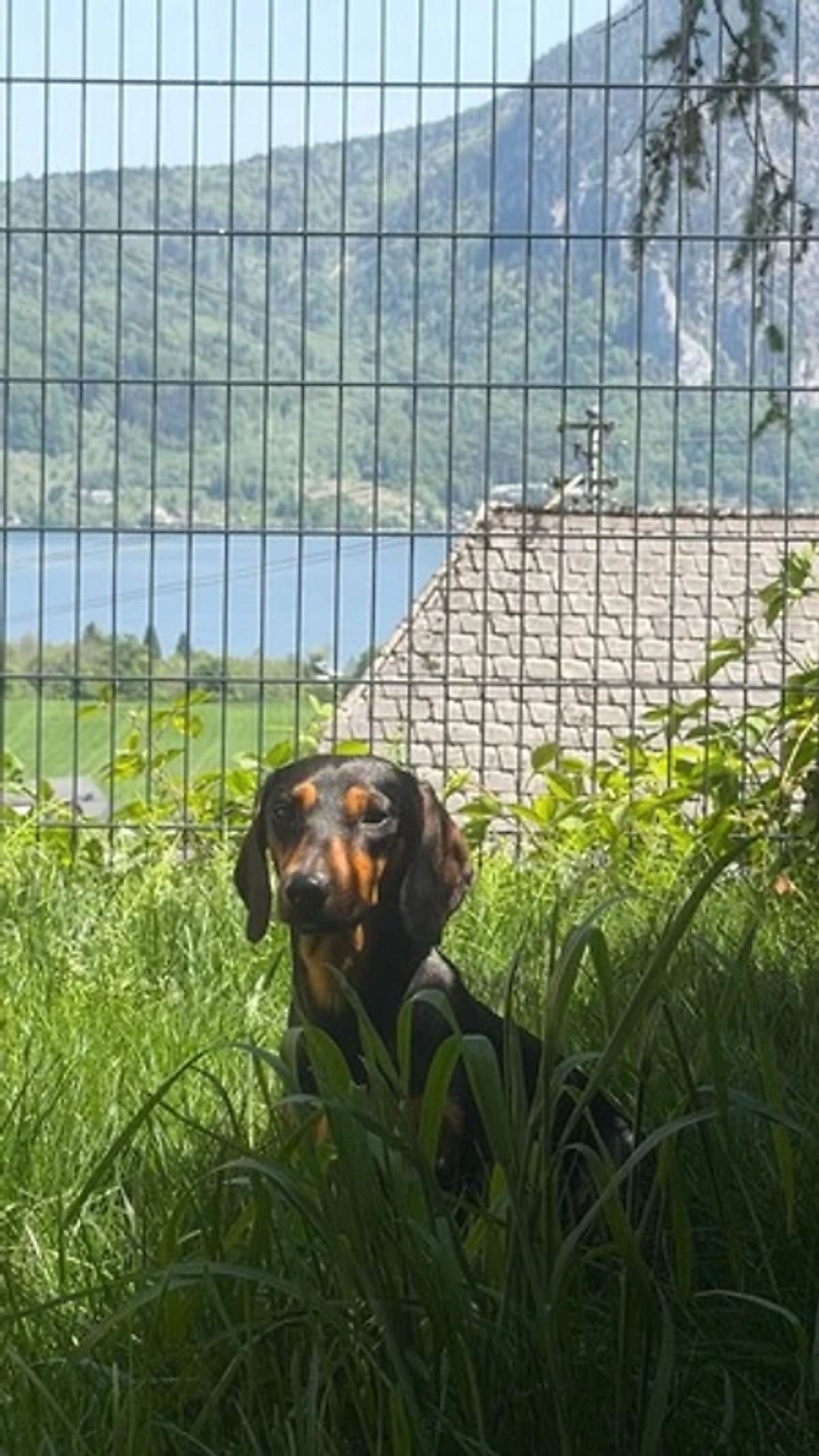 Ferienwohnung Bergliebe: Eigener umzäunter Garten mit Griller, Whirlpool und voll eingezäunt. Gerne mit Hund!