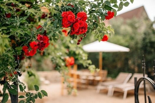 Blick in den wunderschönen Innenhof