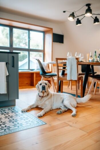 Große Wohnküche im Obergeschoss.