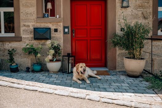 Rote Eingangstüre mit unserem Hund Toni.