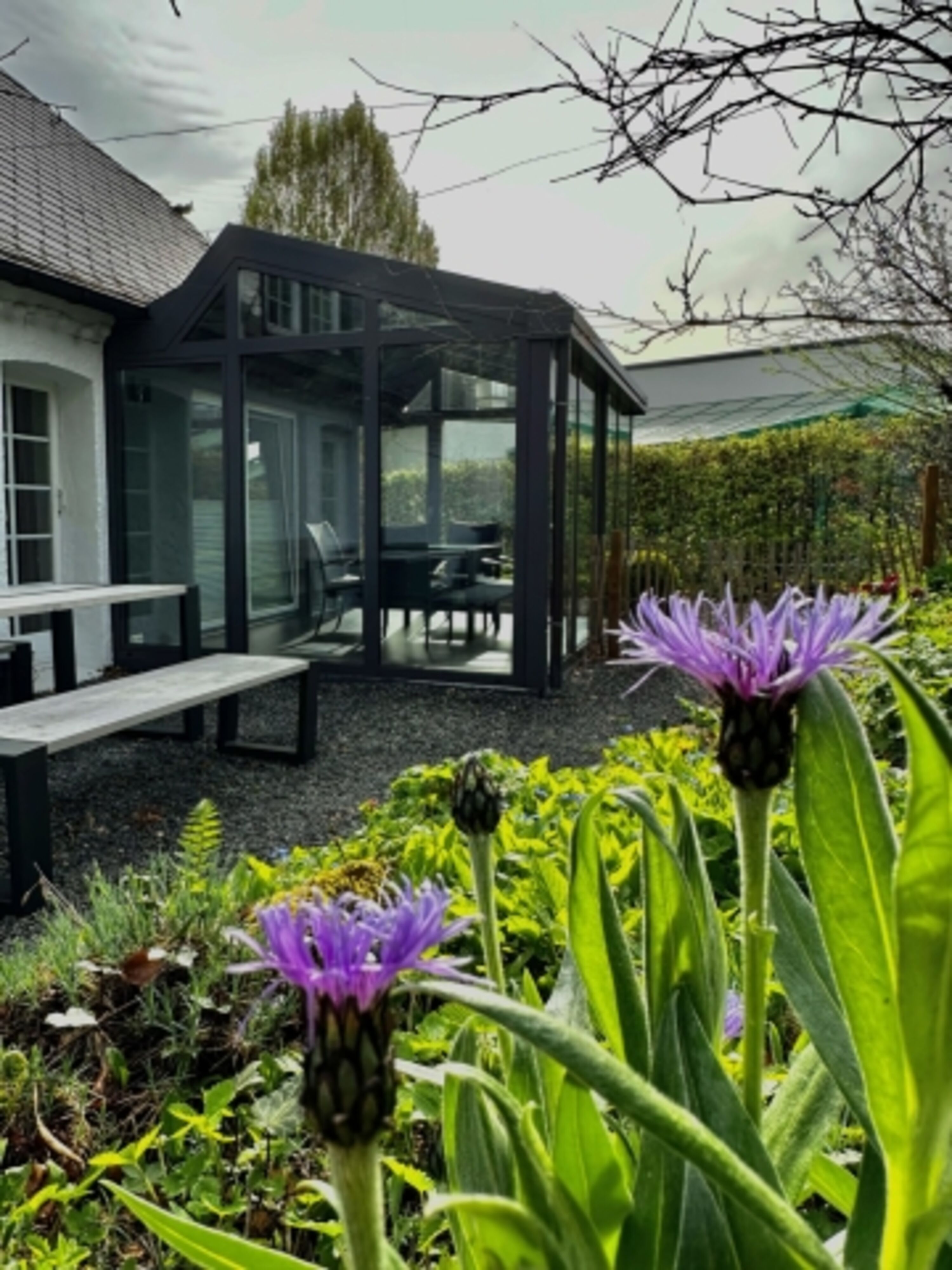 Garten mit Wintergarten