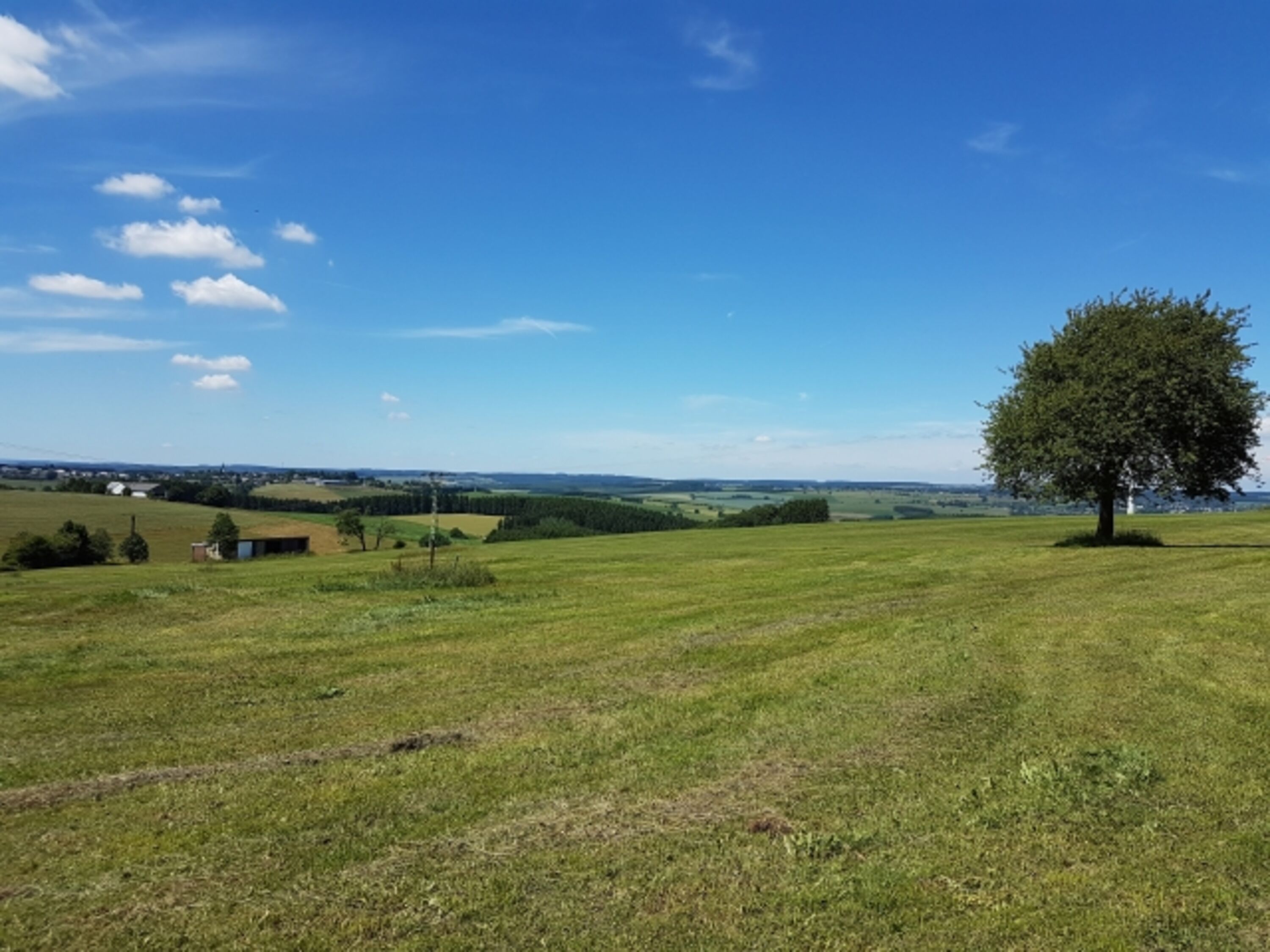 Sicht Rückseite 
