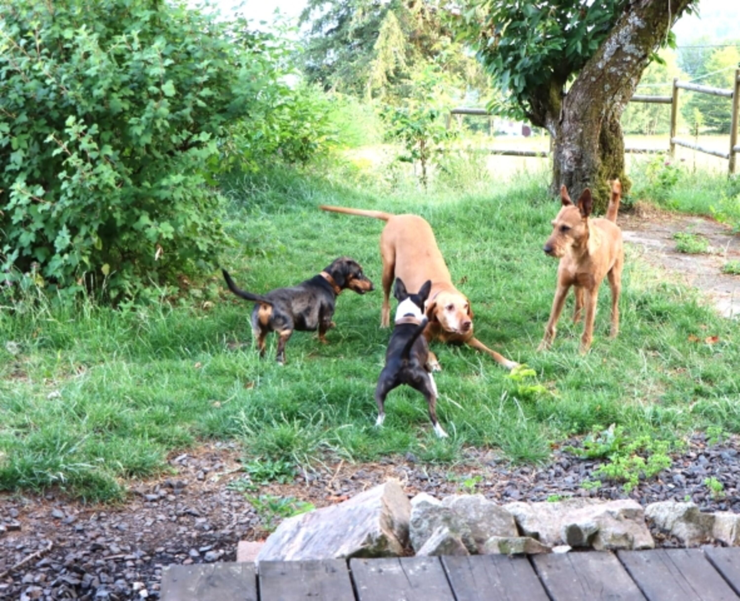 Bild 13