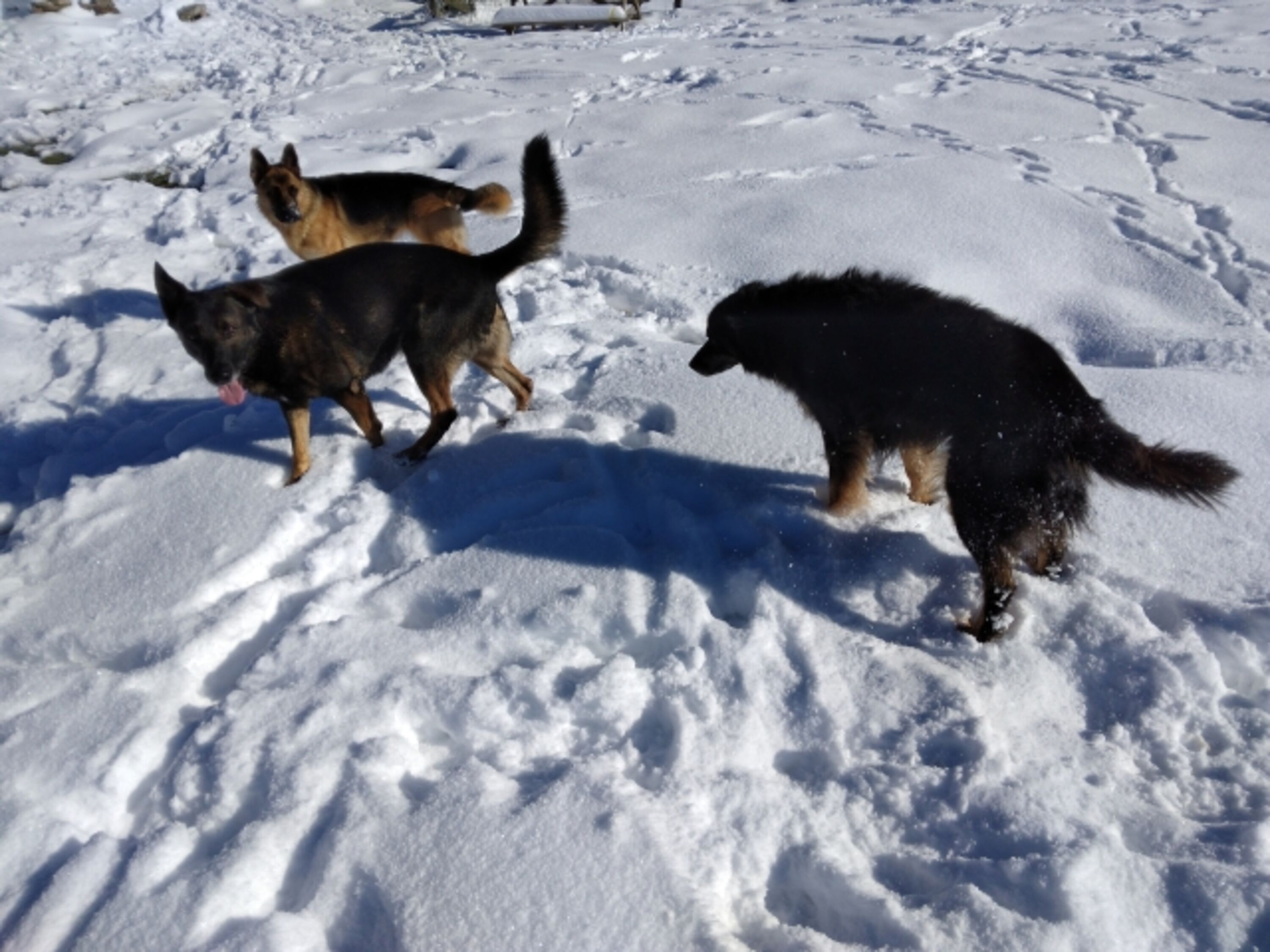 Bild 16