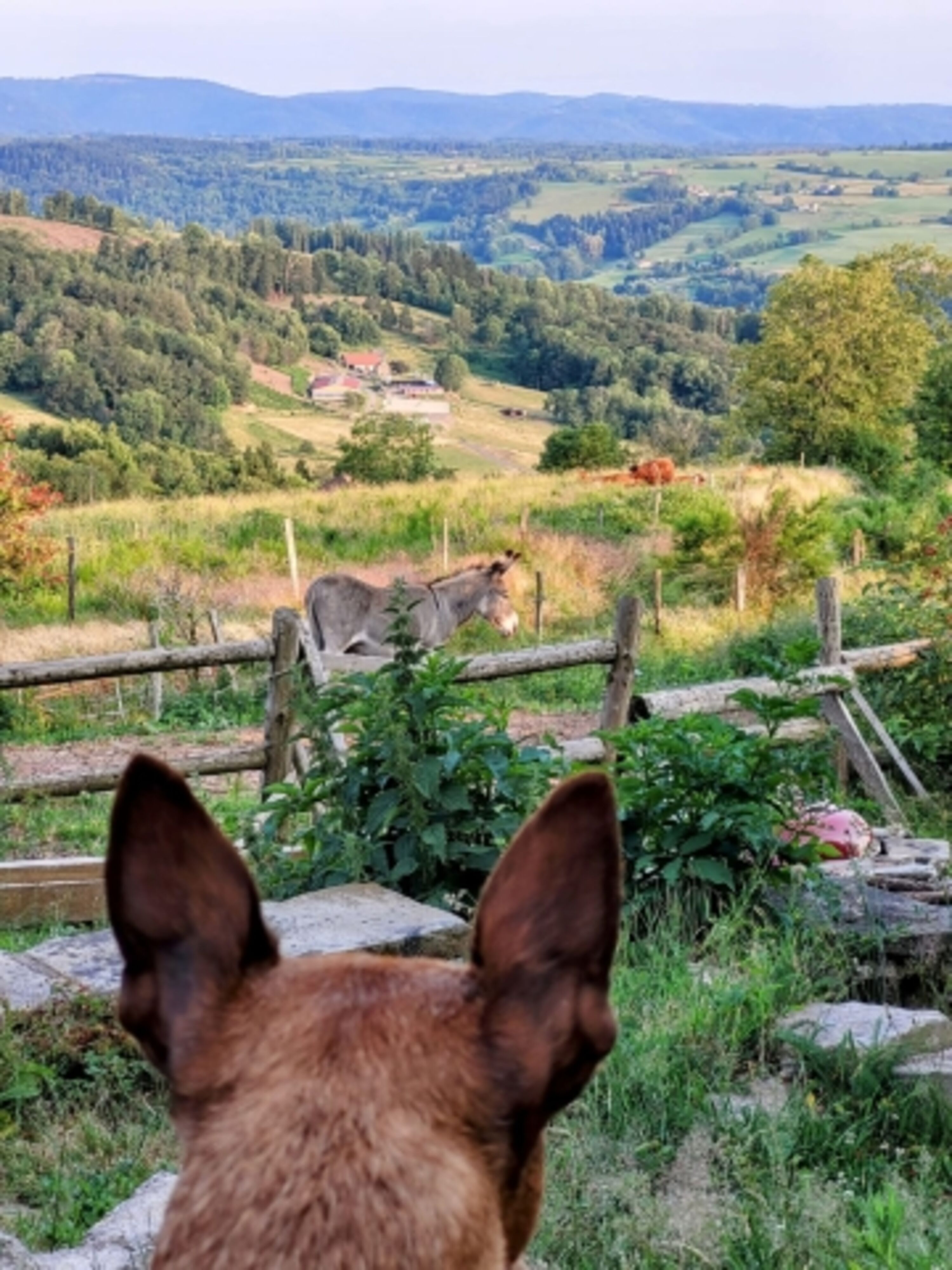 Bild 16
