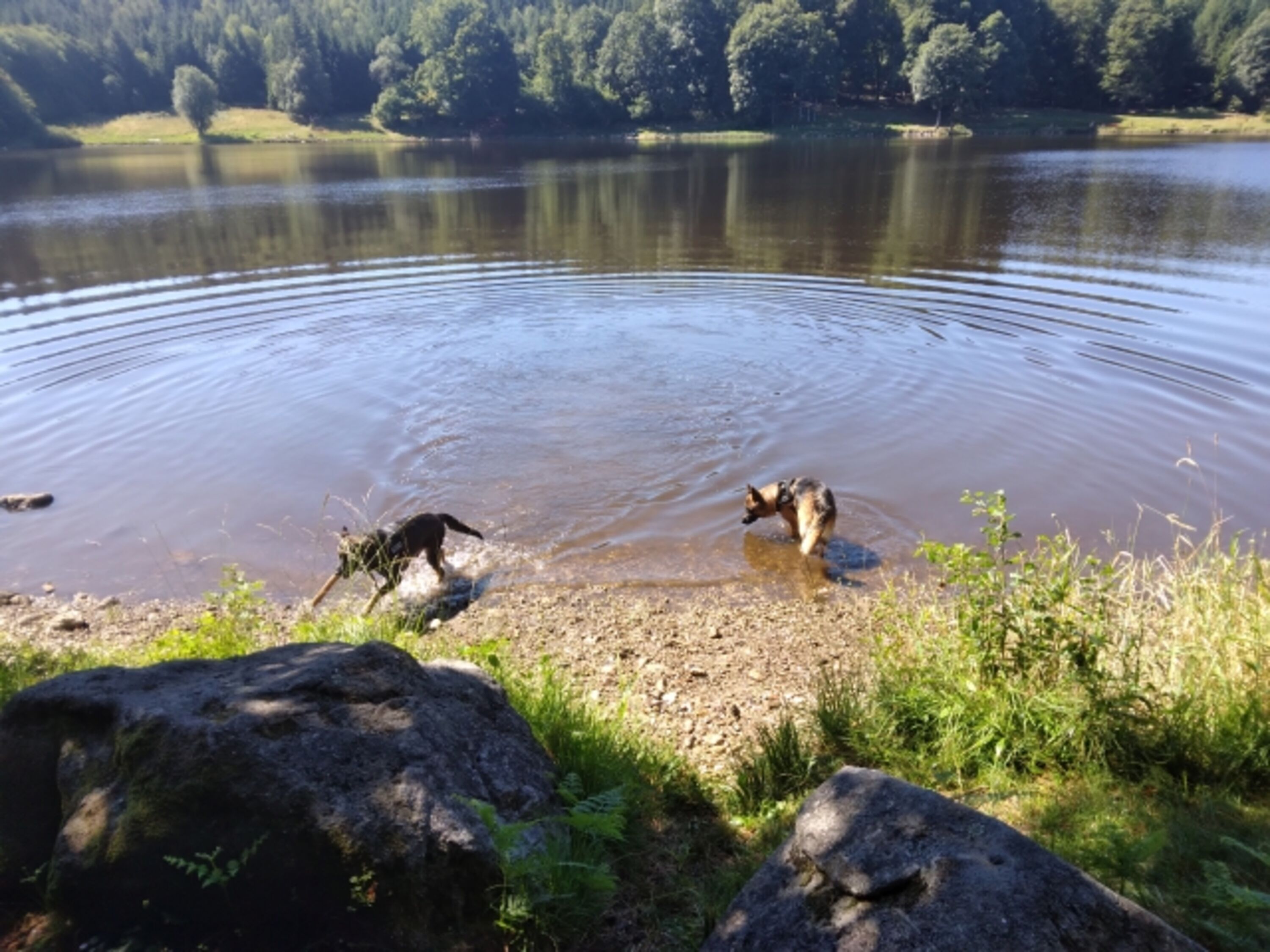 Bild 18