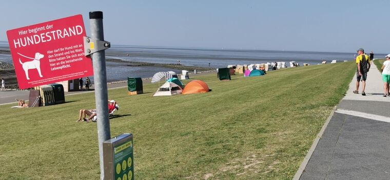 zum Hundestrand ist es bloß ein Katzensprung