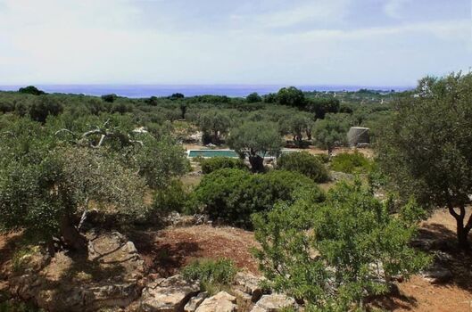 8000 qm große Garten