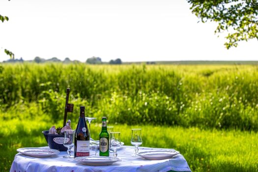 Ansicht Garten hinter dem Haus